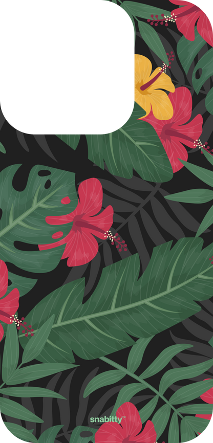 Hibiscus