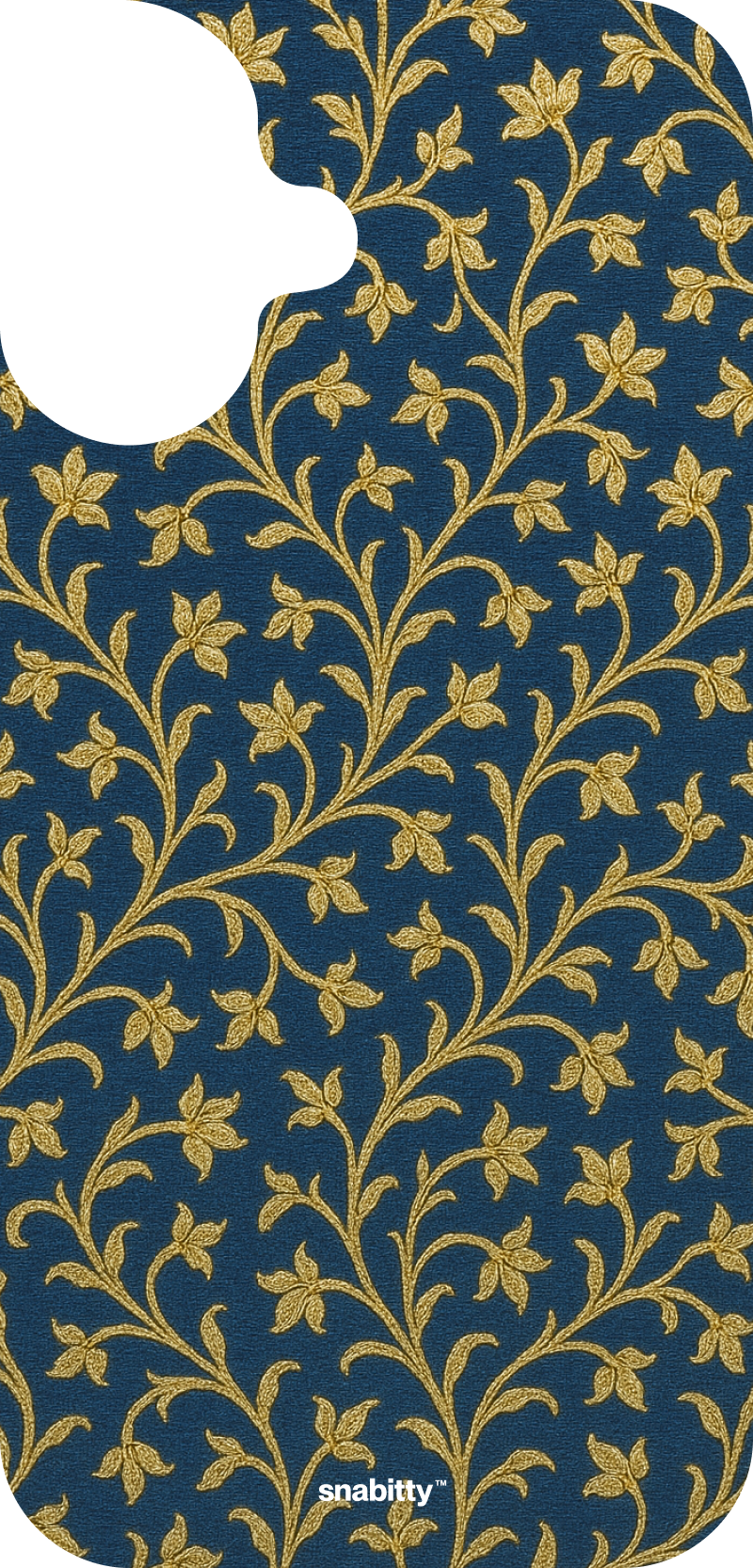 Paithani asawali navy
